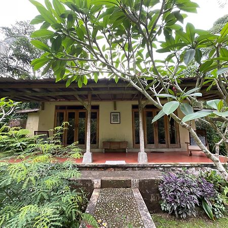 Carik Tangis Boutique Homestay Jatiluwih Eksteriør bilde