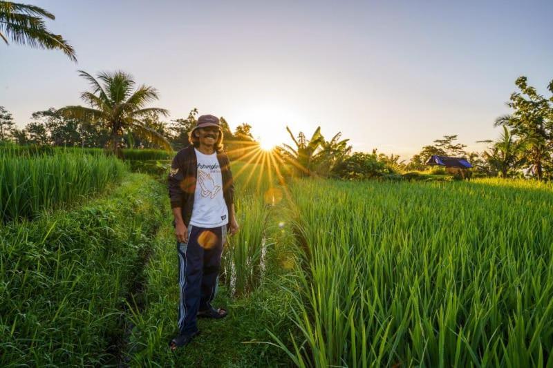 Carik Tangis Boutique Homestay Jatiluwih Eksteriør bilde