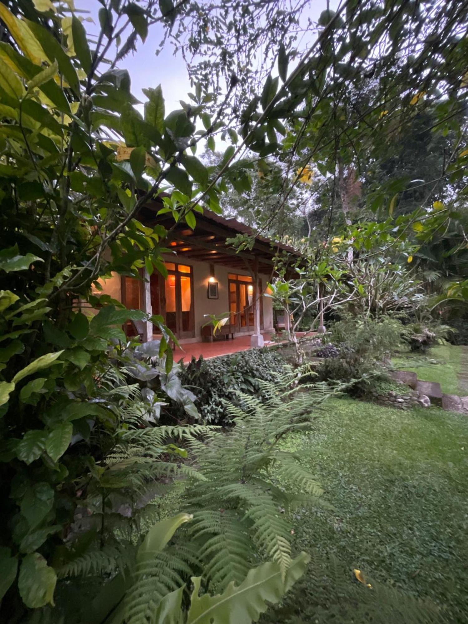 Carik Tangis Boutique Homestay Jatiluwih Eksteriør bilde