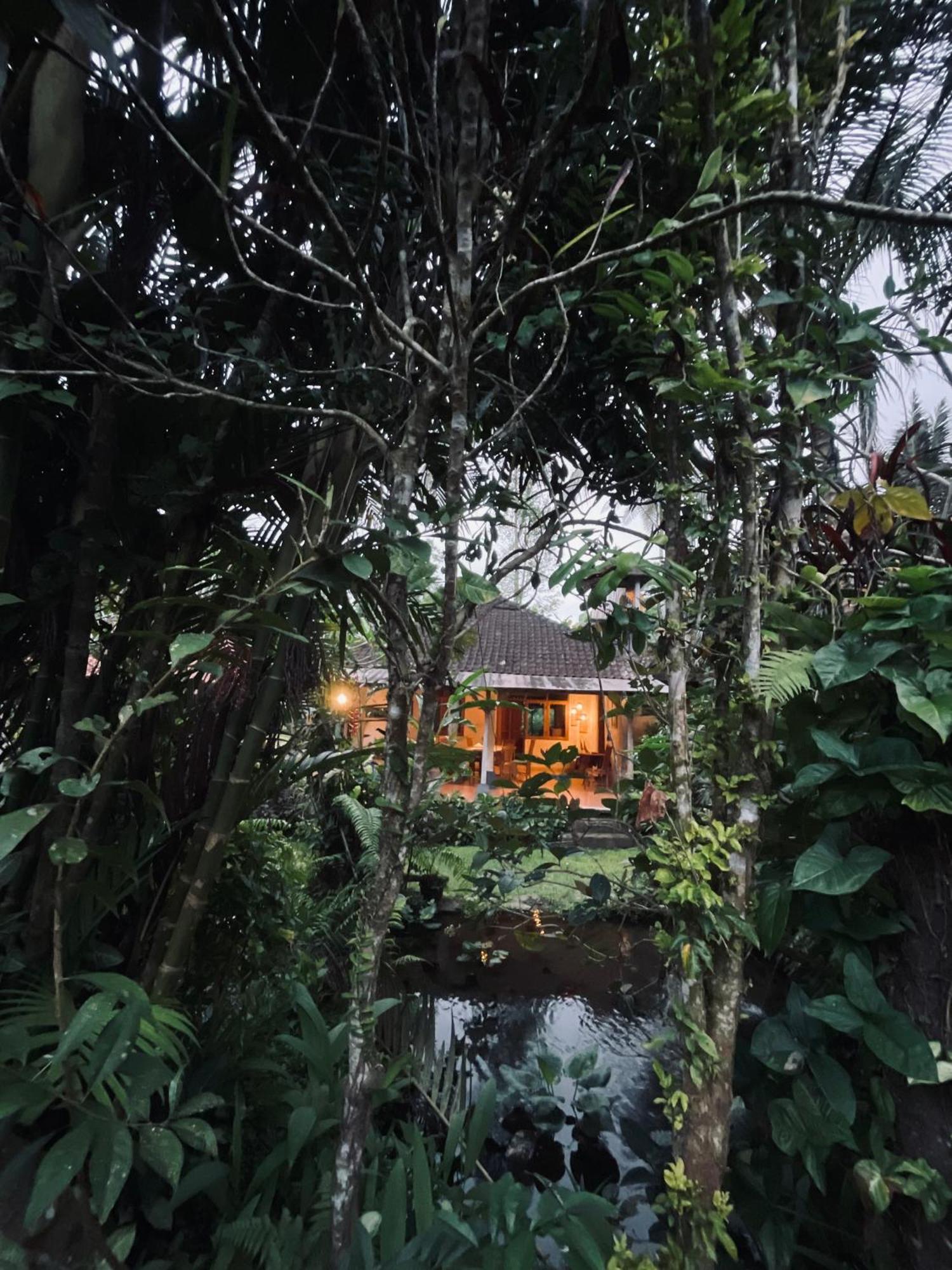 Carik Tangis Boutique Homestay Jatiluwih Eksteriør bilde